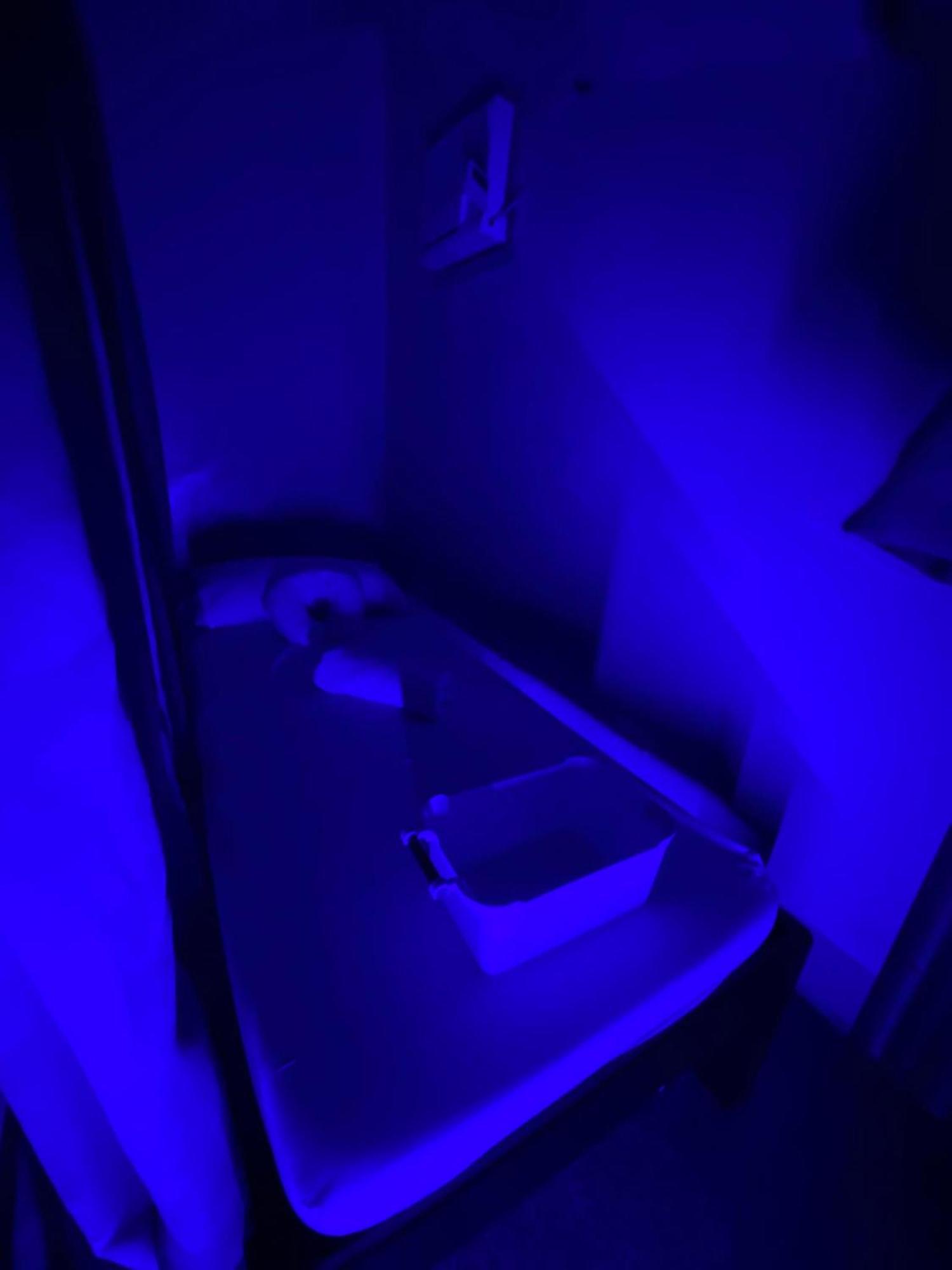 Indino Guesthouse Moalboal Kültér fotó